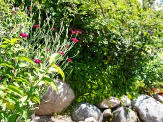 Maison de vacances Uddevalla  22