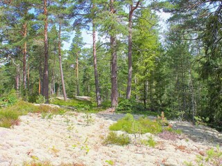 Maison de vacances Lidköping  22