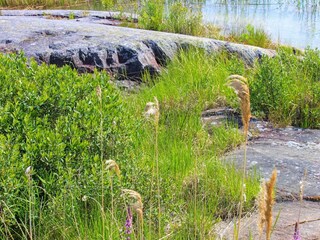 Vakantiehuis Lidköping  23