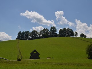 Vakantiehuis Gröbming Omgeving 19