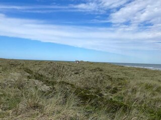 Vakantiehuis Læsø  4