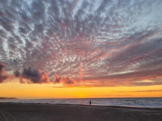 Apartment Tranum Strand  13