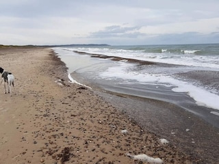 Apartamento Tranum Strand  45