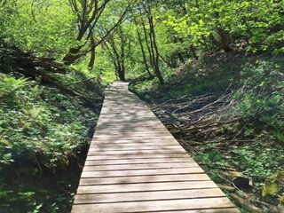 Apartment Tranum Strand Außenaufnahme 17