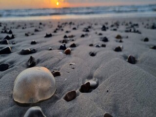 Appartement Tranum Strand Enregistrement extérieur 5