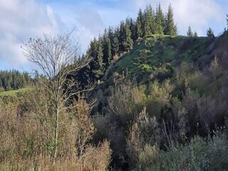 Appartamento Tranum Strand Registrazione all'aperto 15