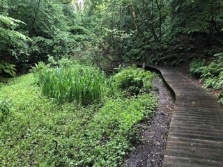 Apartment Tranum Strand Außenaufnahme 14