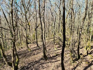 Appartamento Tranum Strand Registrazione all'aperto 14