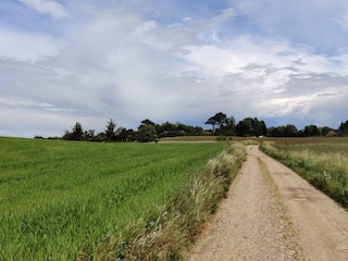 Casa de vacaciones Højby  26