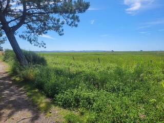 Ferienhaus Højby  18
