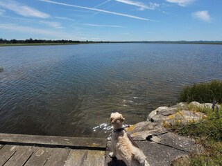 Vakantiehuis Højby  39