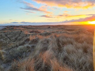 Maison de vacances Klitmøller  13