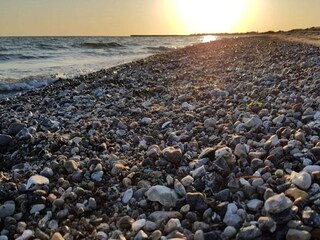 Casa per le vacanze Dannemare  6