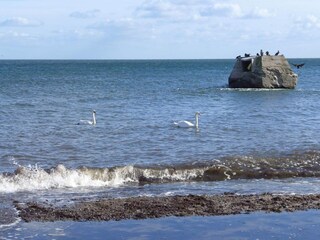 Vakantiehuis Gedesby  13