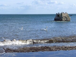 Ferienhaus Gedesby  45