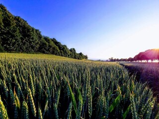 Appartement Klintholm Havn  28