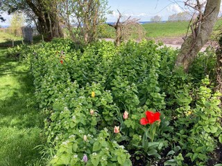 Ferienhaus Ansager  22