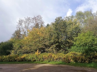 Ferienhaus Ansager  12