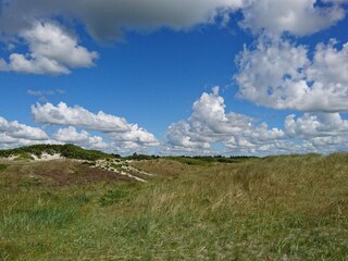 Vakantiehuis Hou  16