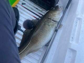 Casa per le vacanze Dalsfjord  20