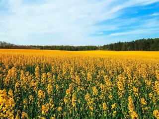 Maison de vacances Bønnerup Strand  38