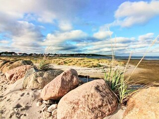 Ferienhaus Bønnerup Strand  42