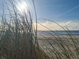 Casa de vacaciones Blåvand  20
