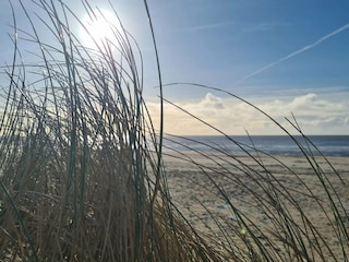 Vakantiehuis Blåvand  13