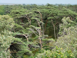 Maison de vacances Toftum  30