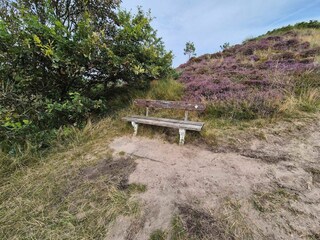 Ferienhaus Toftum  26