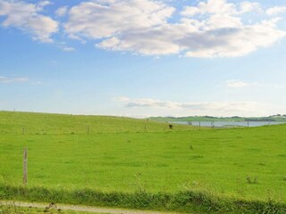 Holiday house Knebel  7