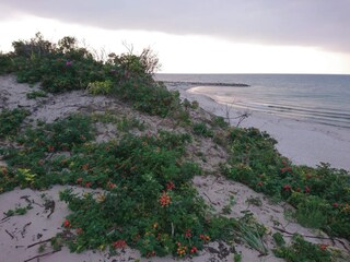 Maison de vacances Frederiksværk  32