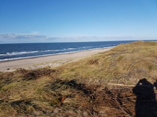 Ferienhaus Bjerregård  38