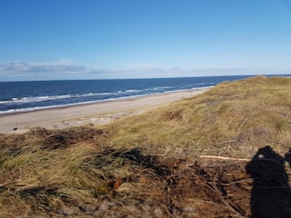 Ferienhaus Bjerregård  19