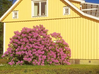 Holiday house Outdoor Recording 5