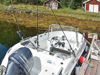 Holiday house Bæverfjord  21