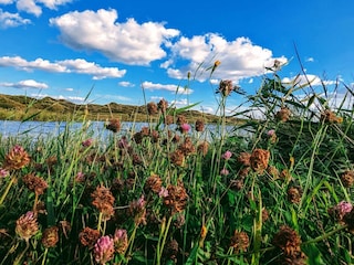 Ferienhaus Houstrup  38