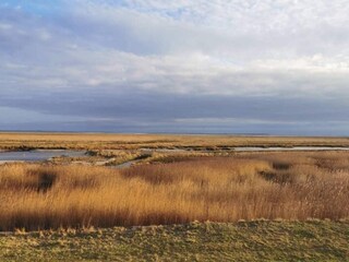 Maison de vacances Sønderho Sogn  26