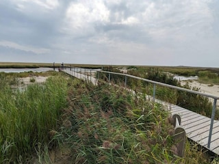 Ferienhaus Sønderho Sogn  22