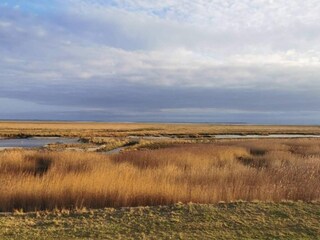 Casa per le vacanze Sønderho Sogn  38