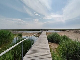 Casa per le vacanze Sønderho Sogn  35