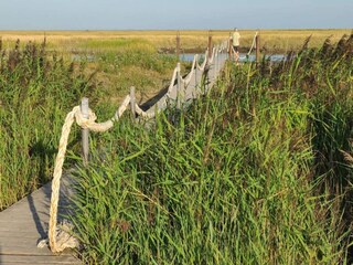 Casa per le vacanze Sønderho Sogn  26