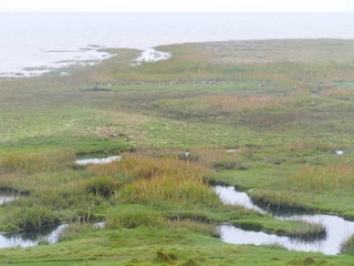 Ferienhaus Havneby  14