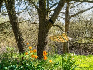 Vakantiehuis Lakolk  18