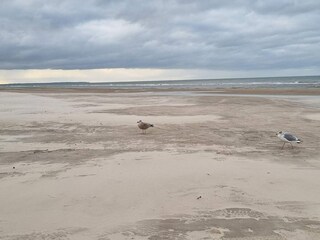 Vakantiehuis Blokhus  7