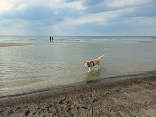 Ferienhaus Blokhus  17