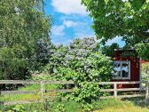 Casa de vacaciones Schweden Grabación al aire libre 1