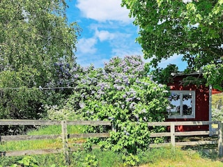 Holiday house Schweden Outdoor Recording 1