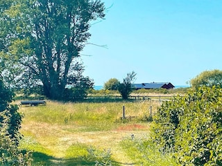 Ferienhaus Schweden Außenaufnahme 8