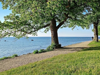 Ferienhaus Schweden  17
